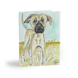 Carla Greeting Cards (8, 16, and 24 pcs)